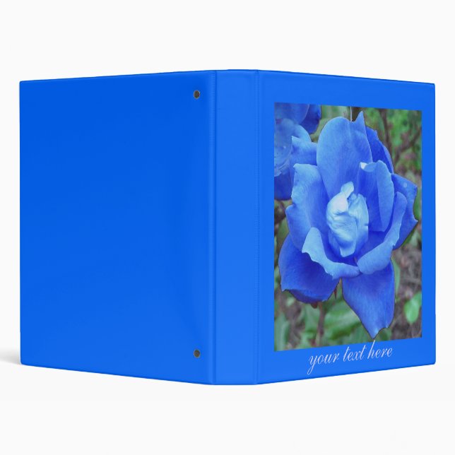 Blue Rose binder (Background)