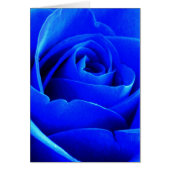 Blue Rose Card (Front)