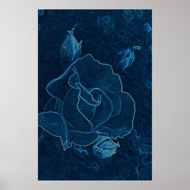 blue rose contour poster (Front)