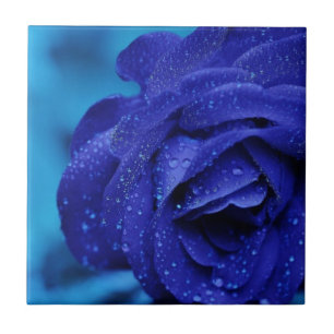 Blue rose flower ceramic tile