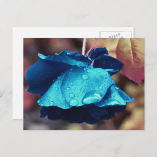 Blue Rose Flower Personalized Postcard