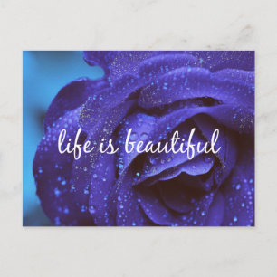 Blue Rose Life is Beautiful Quote Postcard