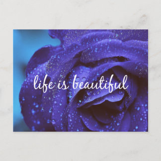 Blue Rose Life is Beautiful Quote Postcard