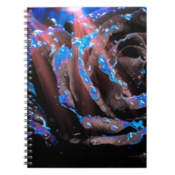 Blue Rose Notebook by MarblesPictures at Zazzle
