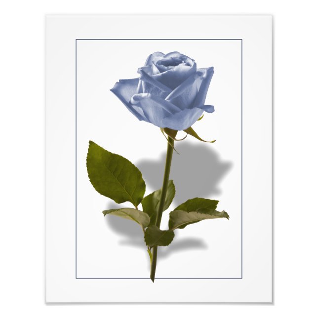 Blue Rose of Enchantment Photo Print (Front)