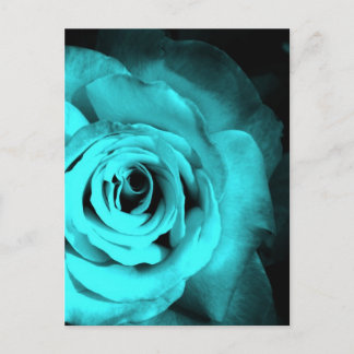 Blue Rose Postcard