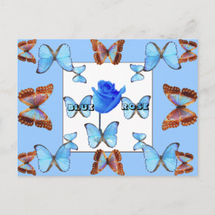 BLUE ROSE! Postcard