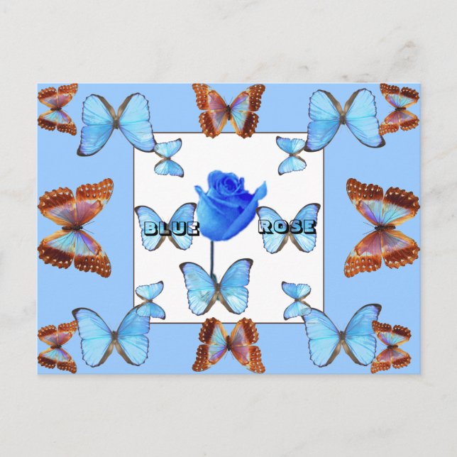 BLUE ROSE! Postcard (Front)
