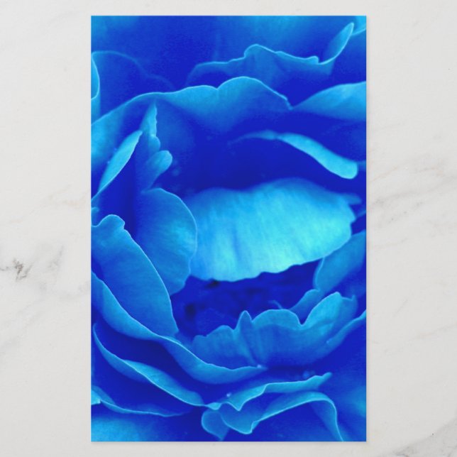 Blue Rose Stationery (Front)