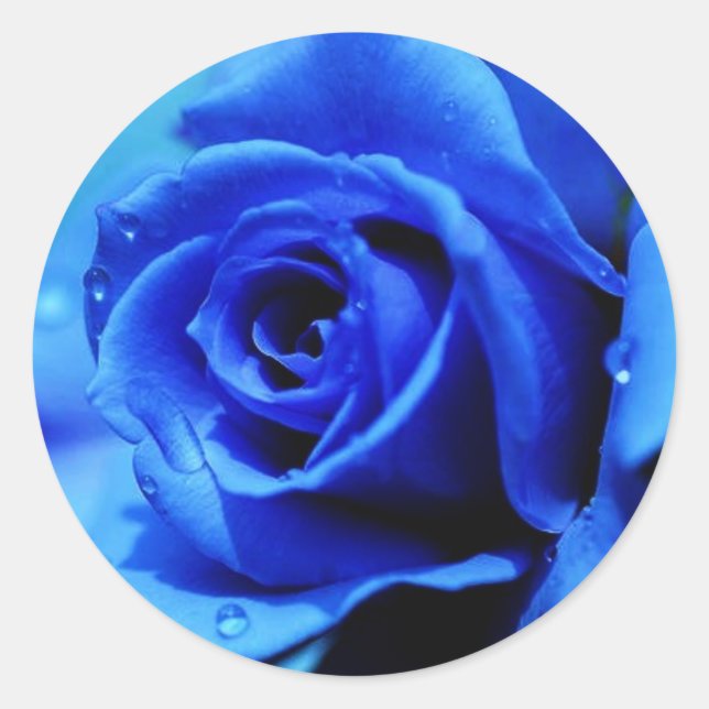 Blue rose sticker (Front)