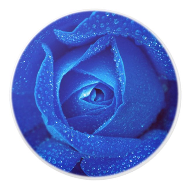 Blue rosebud rose flower elegant ceramic knob (Front)
