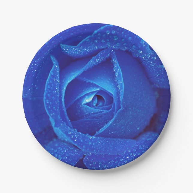 Blue rosebud rose flower paper plates (Front)