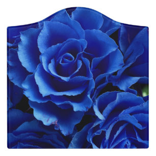 Blue roses flowers plant romance door sign