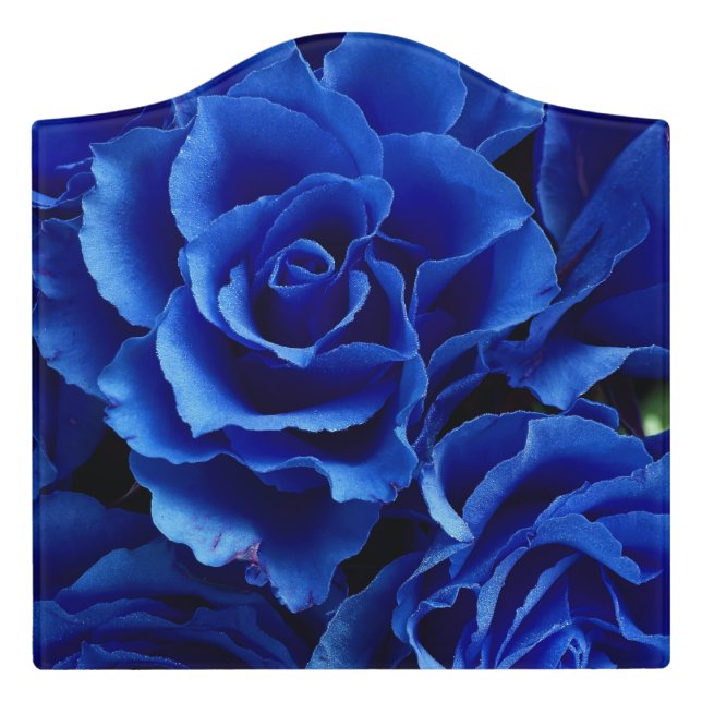 Blue roses flowers plant romance door sign (Large Crest Front)