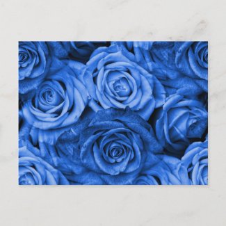 Blue Roses