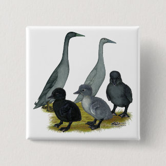 Blue Runner Duck Family Button