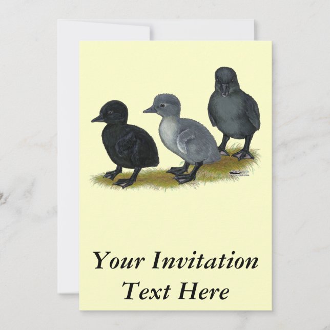 Blue Runner Ducklings Invitation (Front)