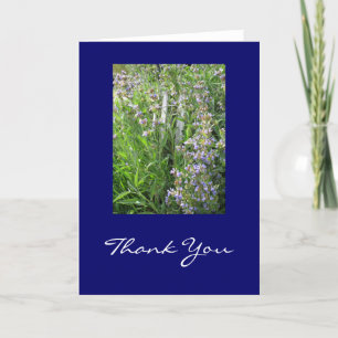 Blue Sage Thank You Cards