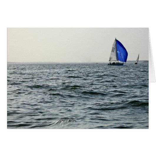 Blue Sail (Front Horizontal)