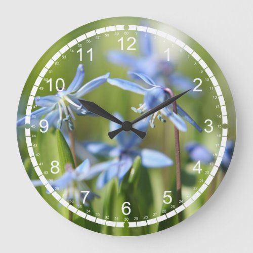 Blue Scilla clock