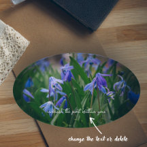 Blue scilla flowers in the spring garden