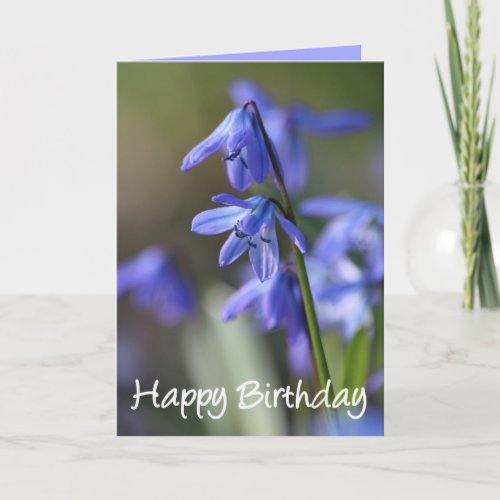 Blue Scilla siberica Wood Squill Flowers Card