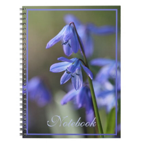 Blue Scilla siberica Wood Squill Flowers Notebook