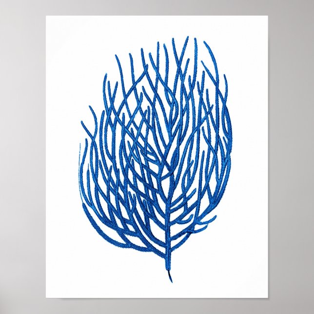 Blue sea coral art print # 9 Beach decor art print (Front)