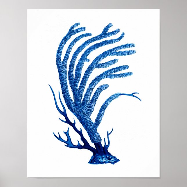 Blue Sea Coral print #2 Coastal Wall Art Decor (Front)