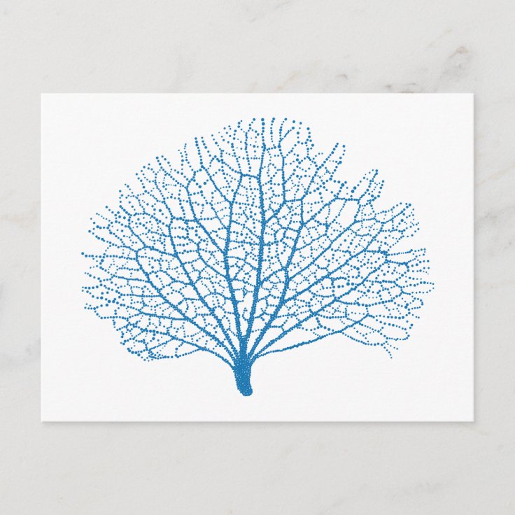 blue sea fan coral silhouette postcard Zazzle