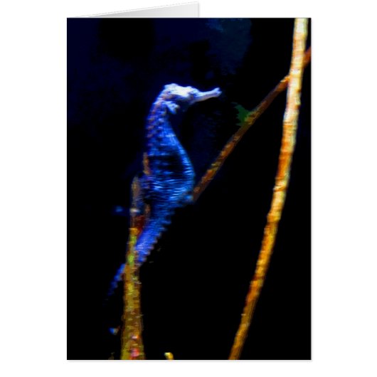 Blue Seahorse CB Cards (Front)
