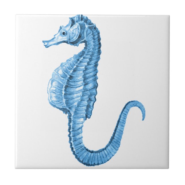 Blue seahorse coastal nautical ocean beach ceramic tile (Front)