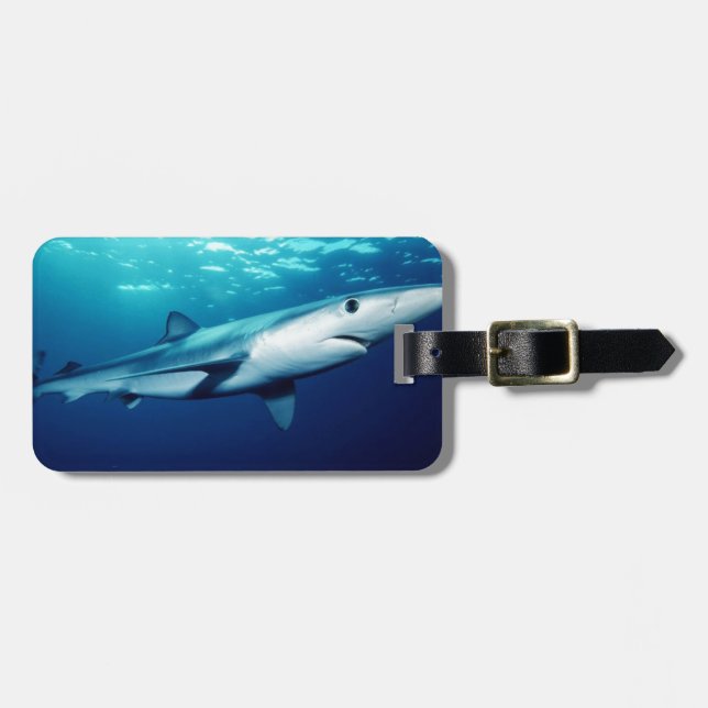 Blue Shark Luggage Tag (Front Horizontal)