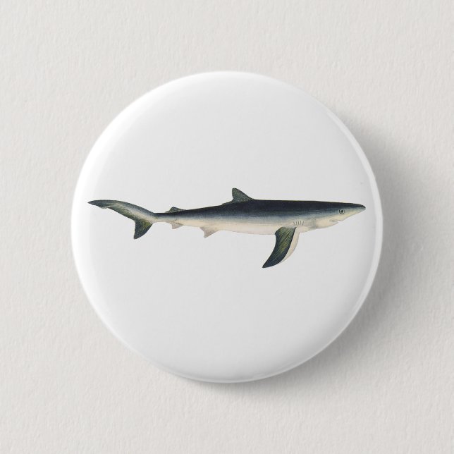 Blue Shark, Vintage Aquatic Ocean Marine Life Button (Front)