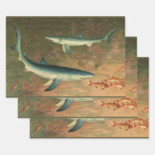 Blue Sharks Eating Fish, Vintage Marine Life Wrapping Paper Sheets