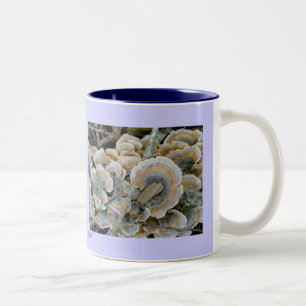 Blue Shelf Fungus Mug