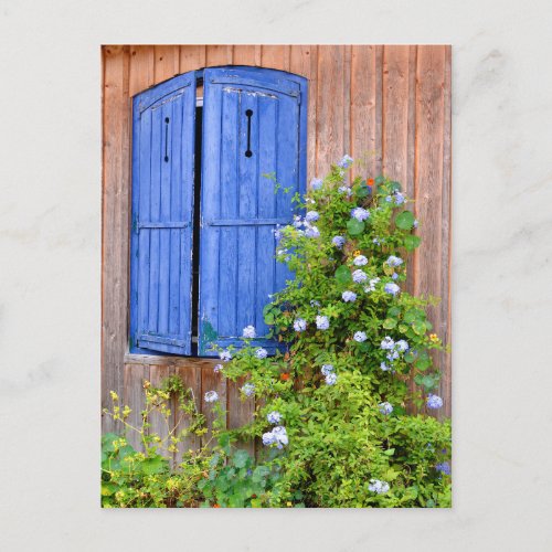 Blue shutters and flowers postcard