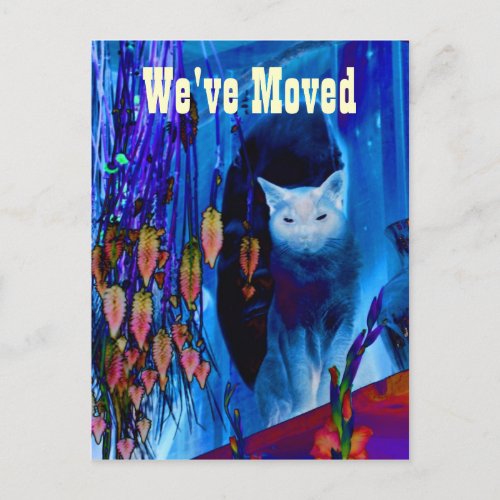 Blue Siamese Cat Moving New Address Postcard
