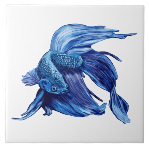 Blue Siamese fighting fish Ceramic Tile