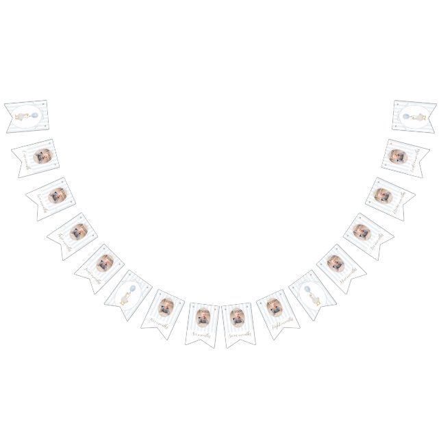 Blue Silly Goose 12 Month Photo Banner (All)