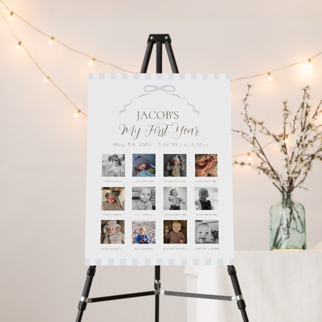 Blue Silly Goose First Birthday Photo Milestone Foam Board (In Situ (Stand))