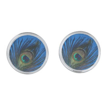 Blue Single Peacock Feather Cufflinks by Peacocks at Zazzle