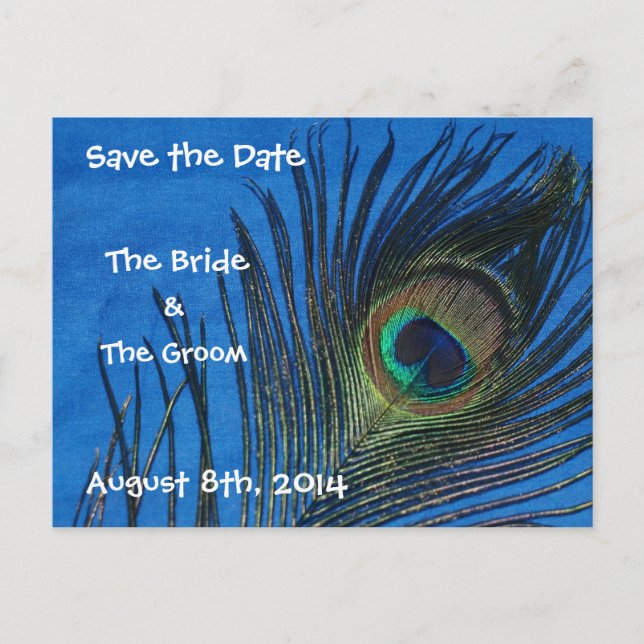 Blue Single Peacock Feather Save the Date Postcard (Front)