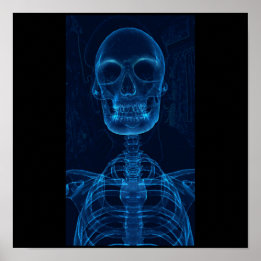 Blue skeleton poster