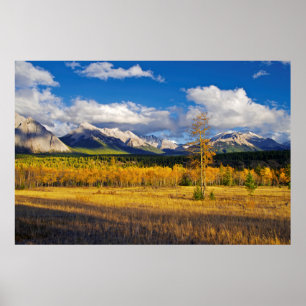 Blue skies and clouds above a meadow poster