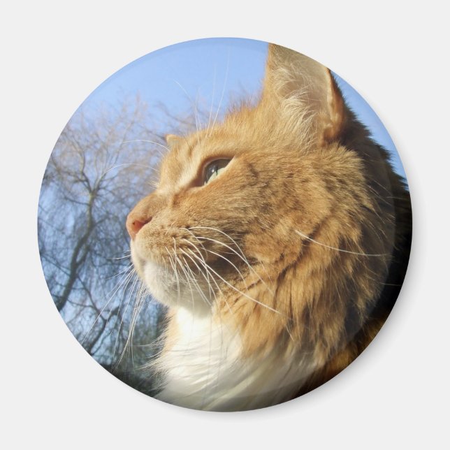 Blue skies cat magnet (Front)