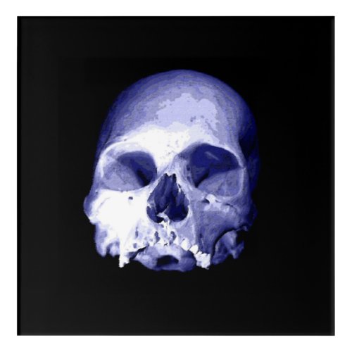 Blue Skull  Acrylic Print