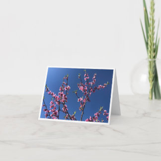 Blue Sky - 1 Letterpress Thank You Card
