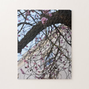 Blue Sky and Cherry Blossoms, Chelsea, London UK Jigsaw Puzzle