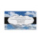 Blue sky and clouds Business Cards